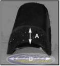 Roll Bar Padding