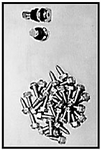 Rim Screws JBRC-053